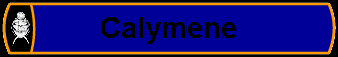 Calymene
